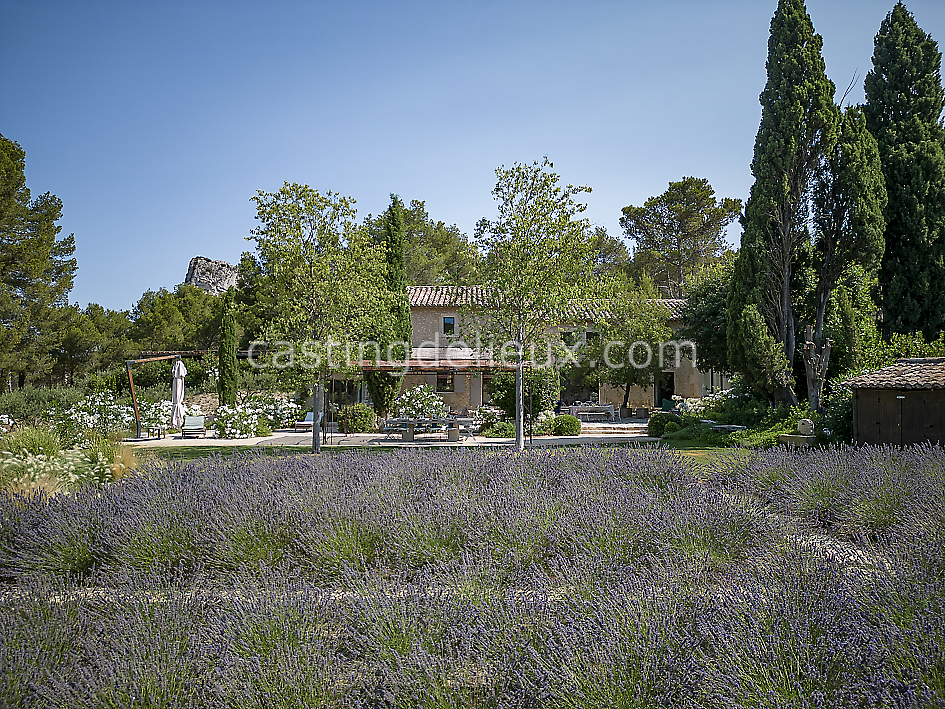 castingdelieux45FR020