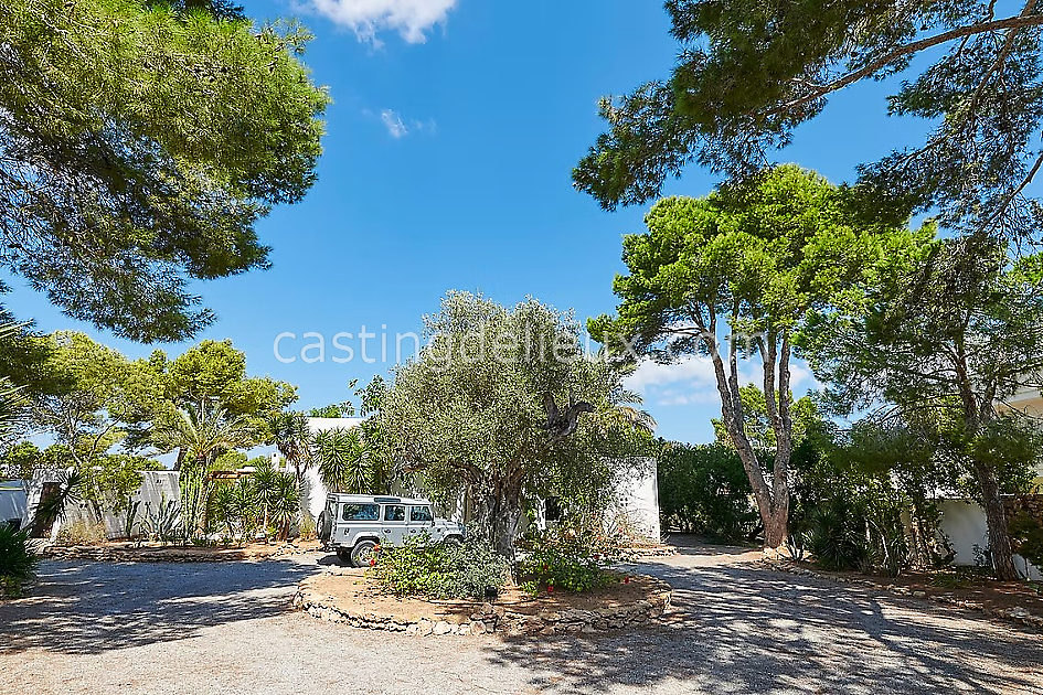 castingdelieux49FR019