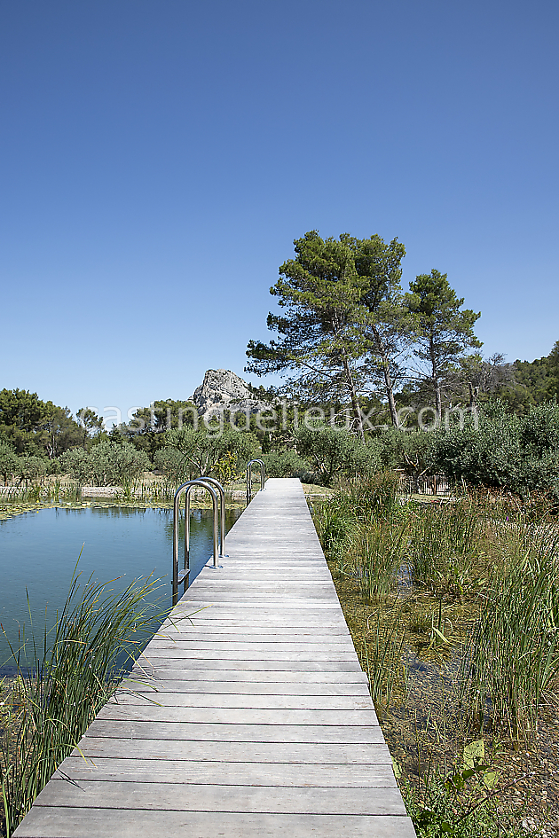 castingdelieux50FR020