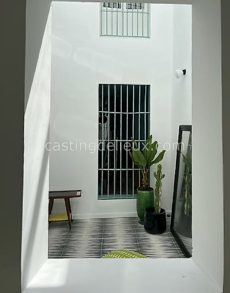 castingdelieux13FR053