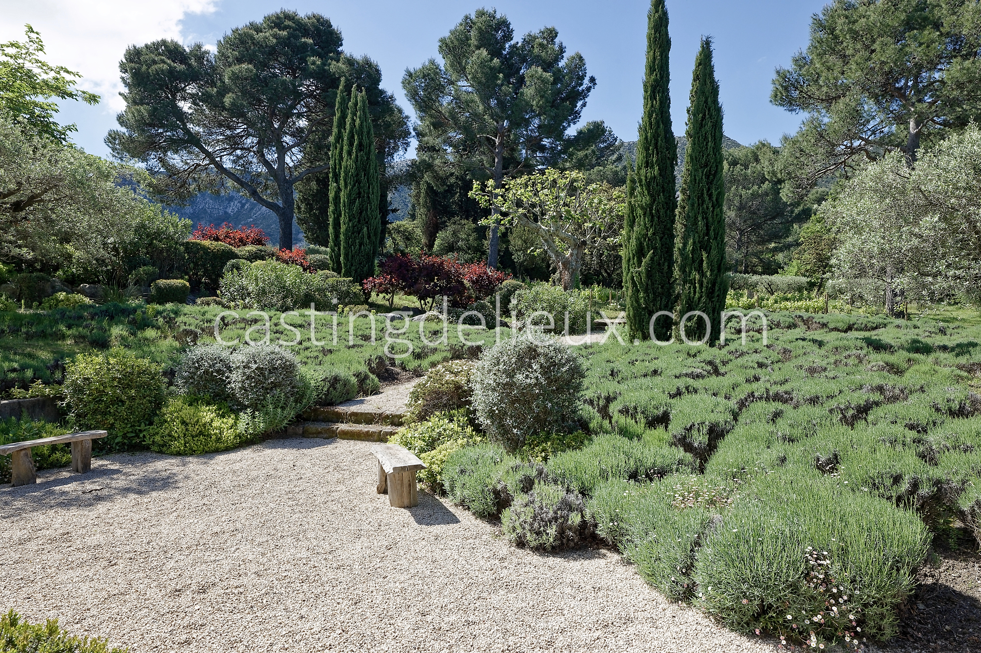 castingdelieux19FR037W