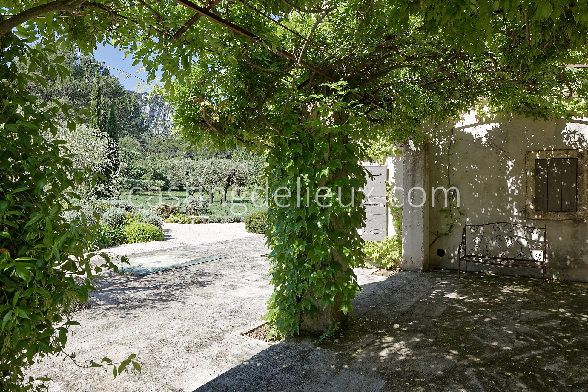 castingdelieux25FR037W