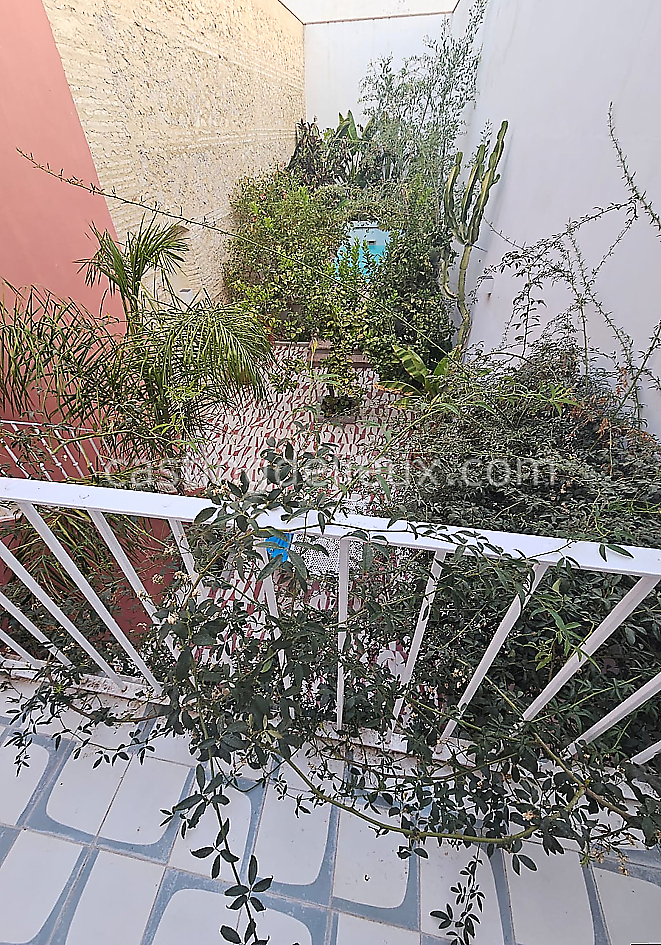 castingdelieux39FR053FR053