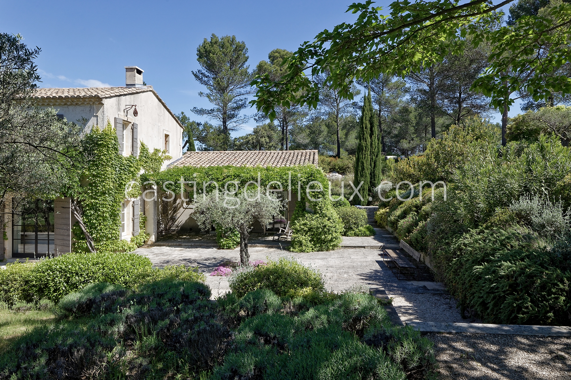 castingdelieux3FR037W