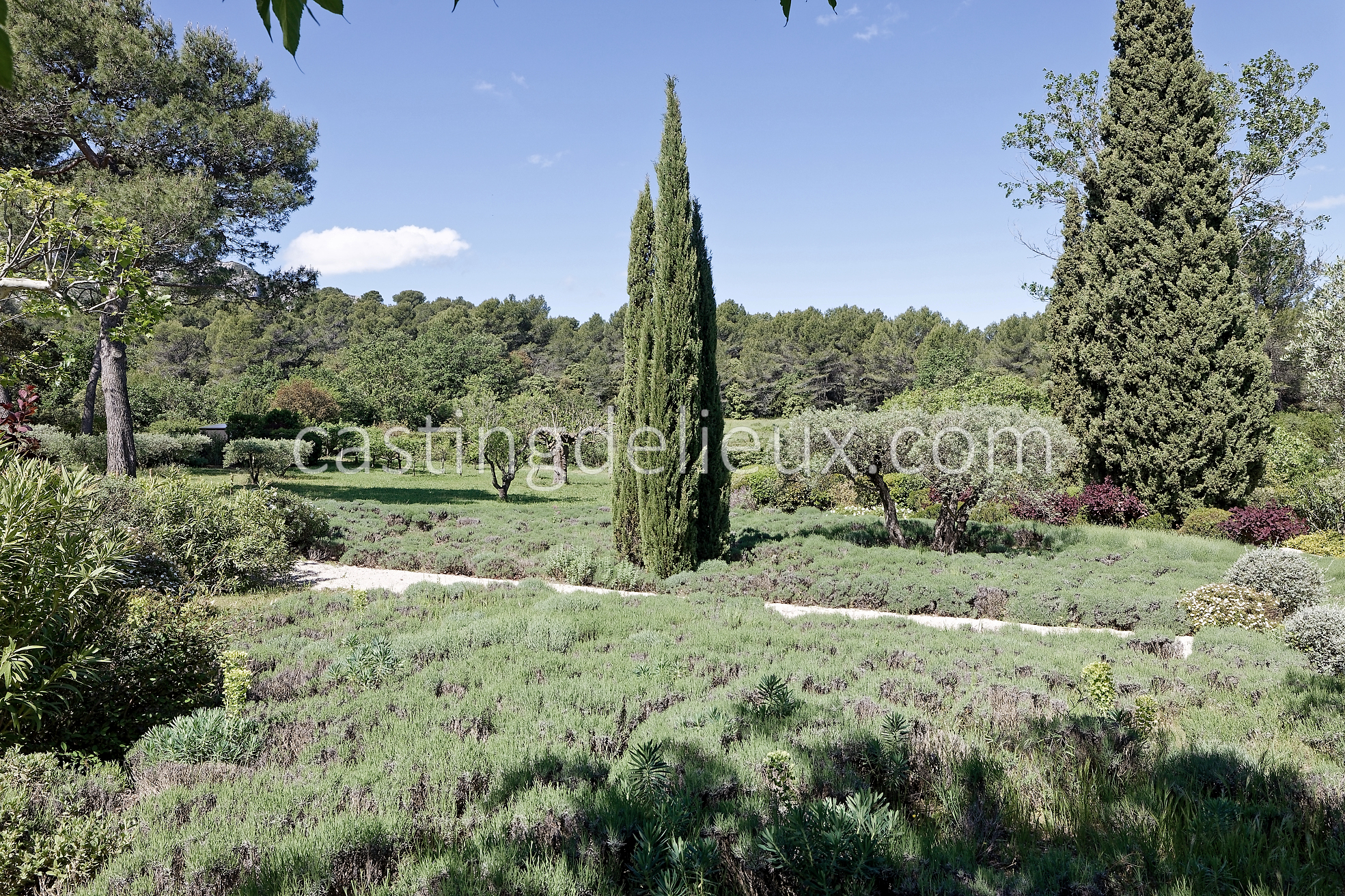 castingdelieux41FR037W