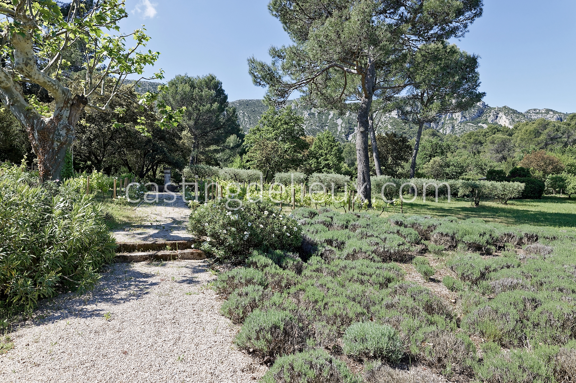 castingdelieux42FR037W