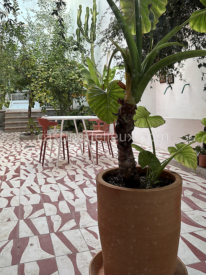 castingdelieux42FR053FR053