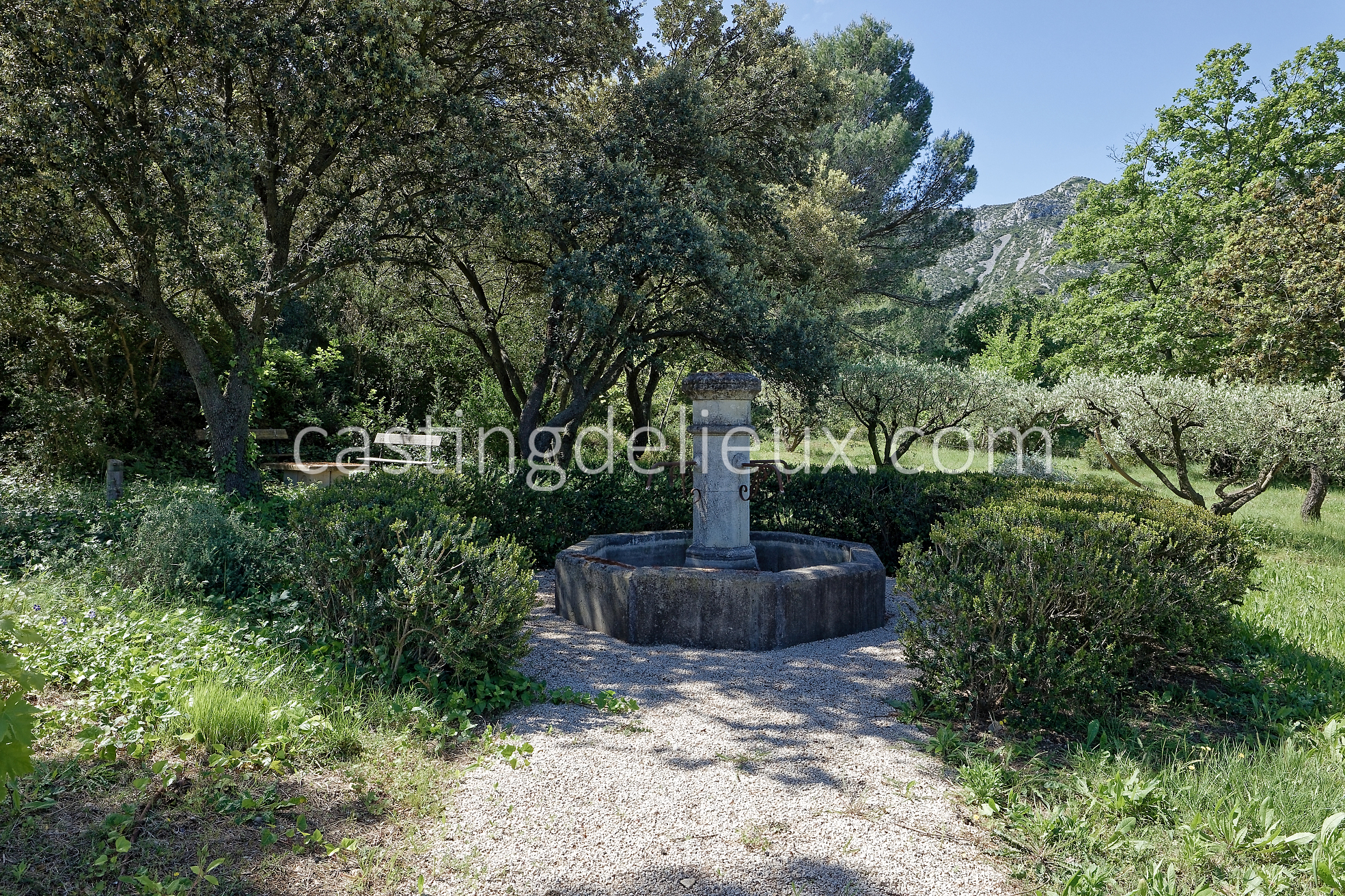 castingdelieux45FR037W