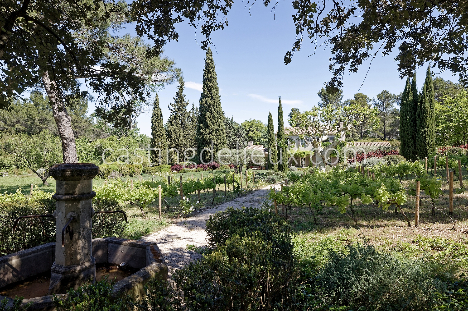 castingdelieux47FR037W