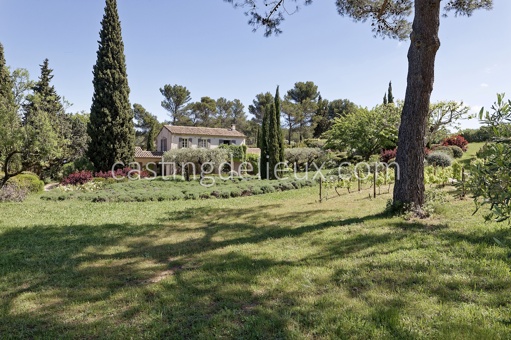 castingdelieux50FR037W