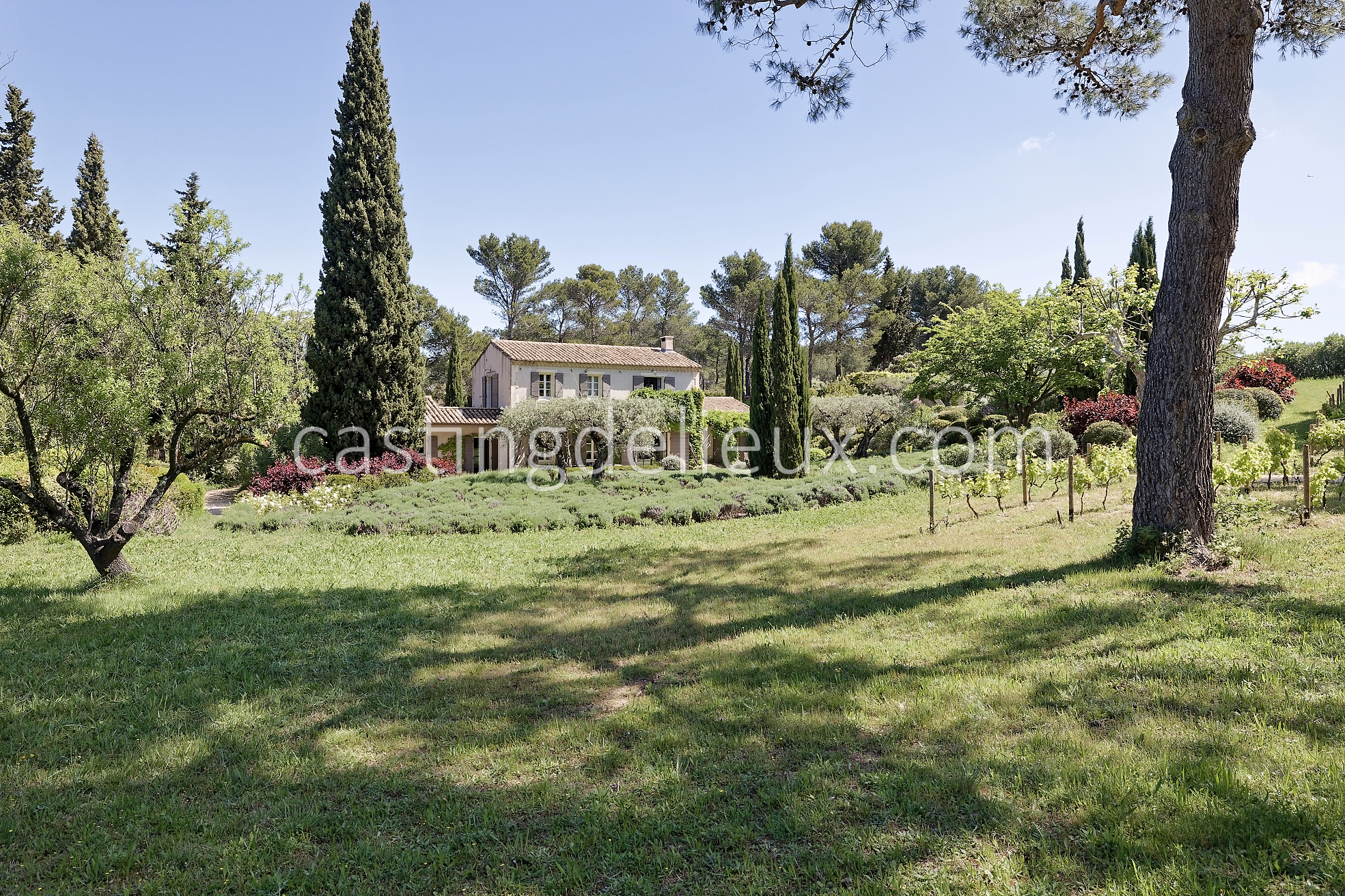 castingdelieux51FR037W