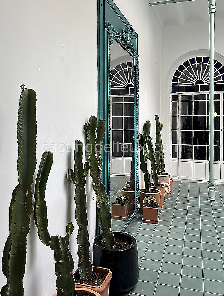 castingdelieux7FR053