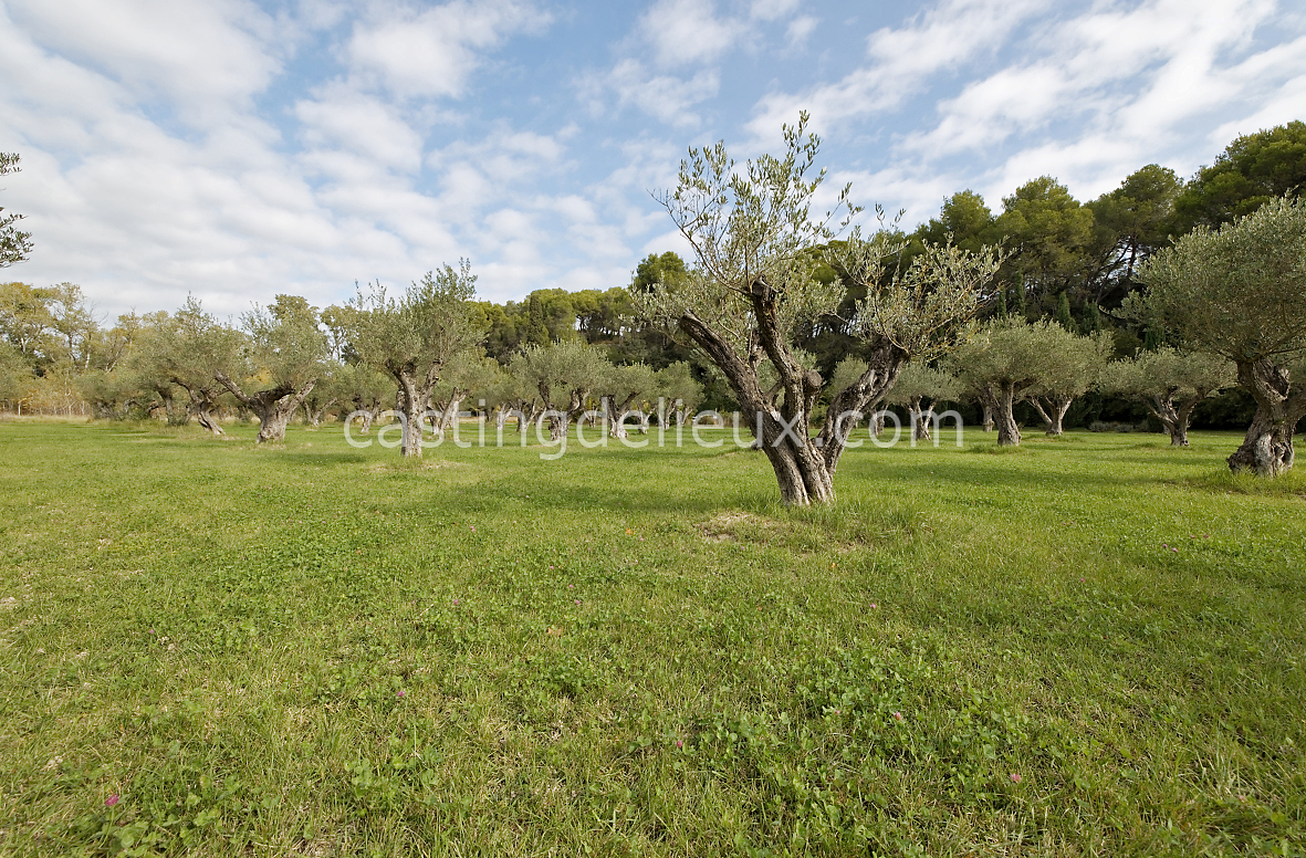 castingdelieux144-FR085-W