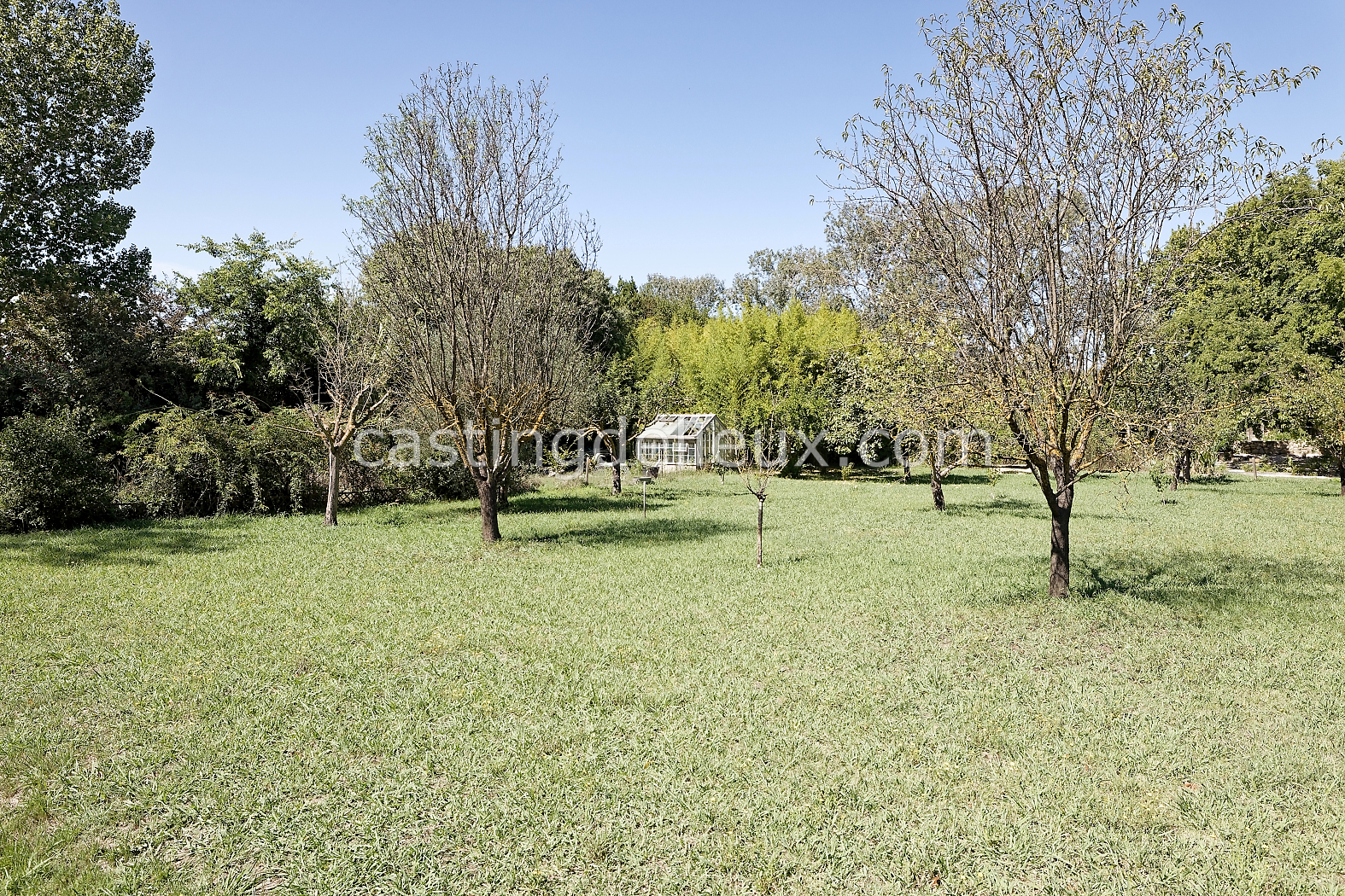 castingdelieux166-FR085-W