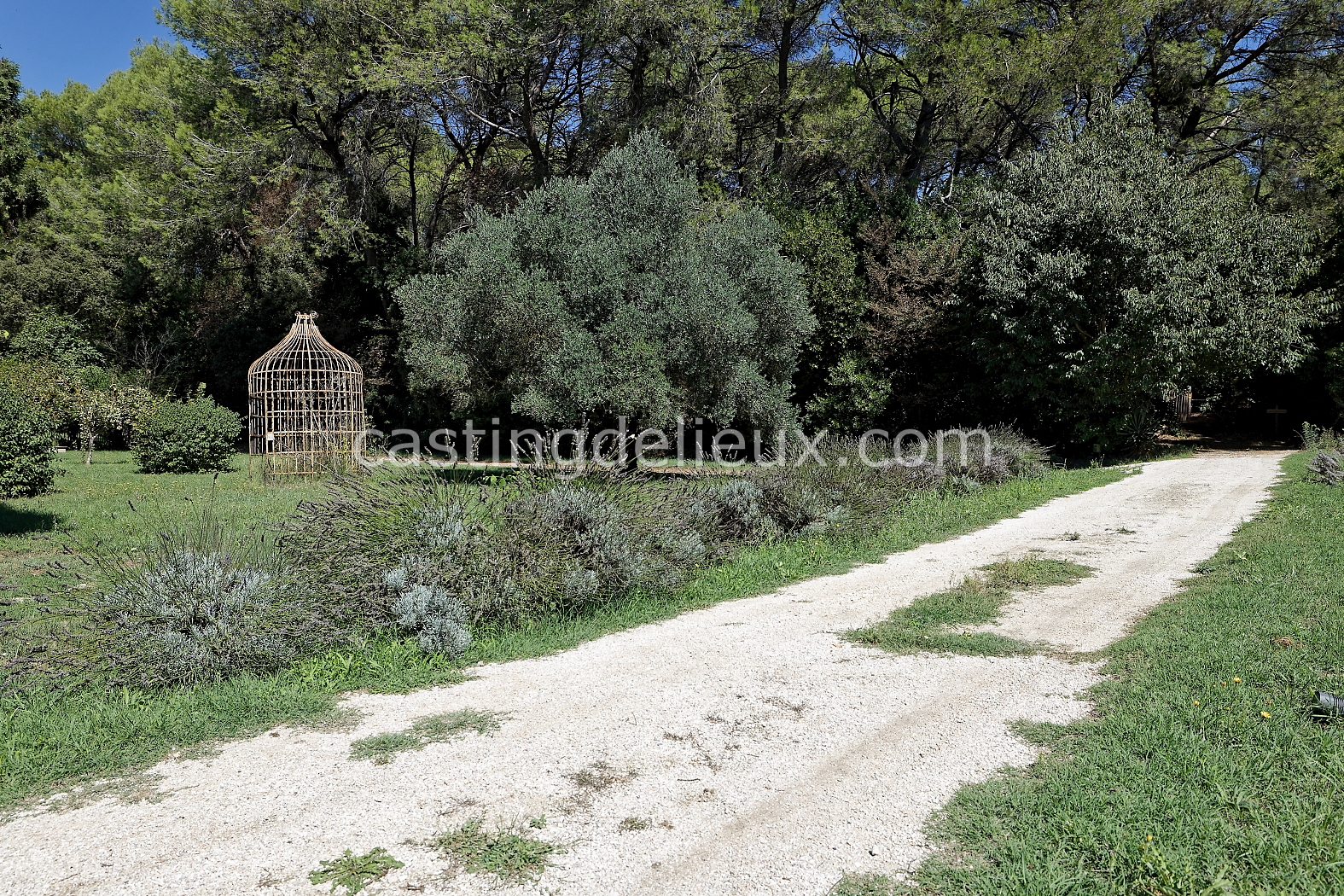 castingdelieux168-FR085-W