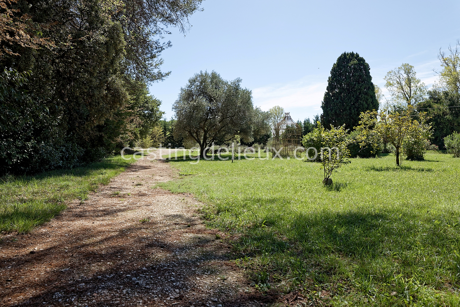 castingdelieux169-FR085-W