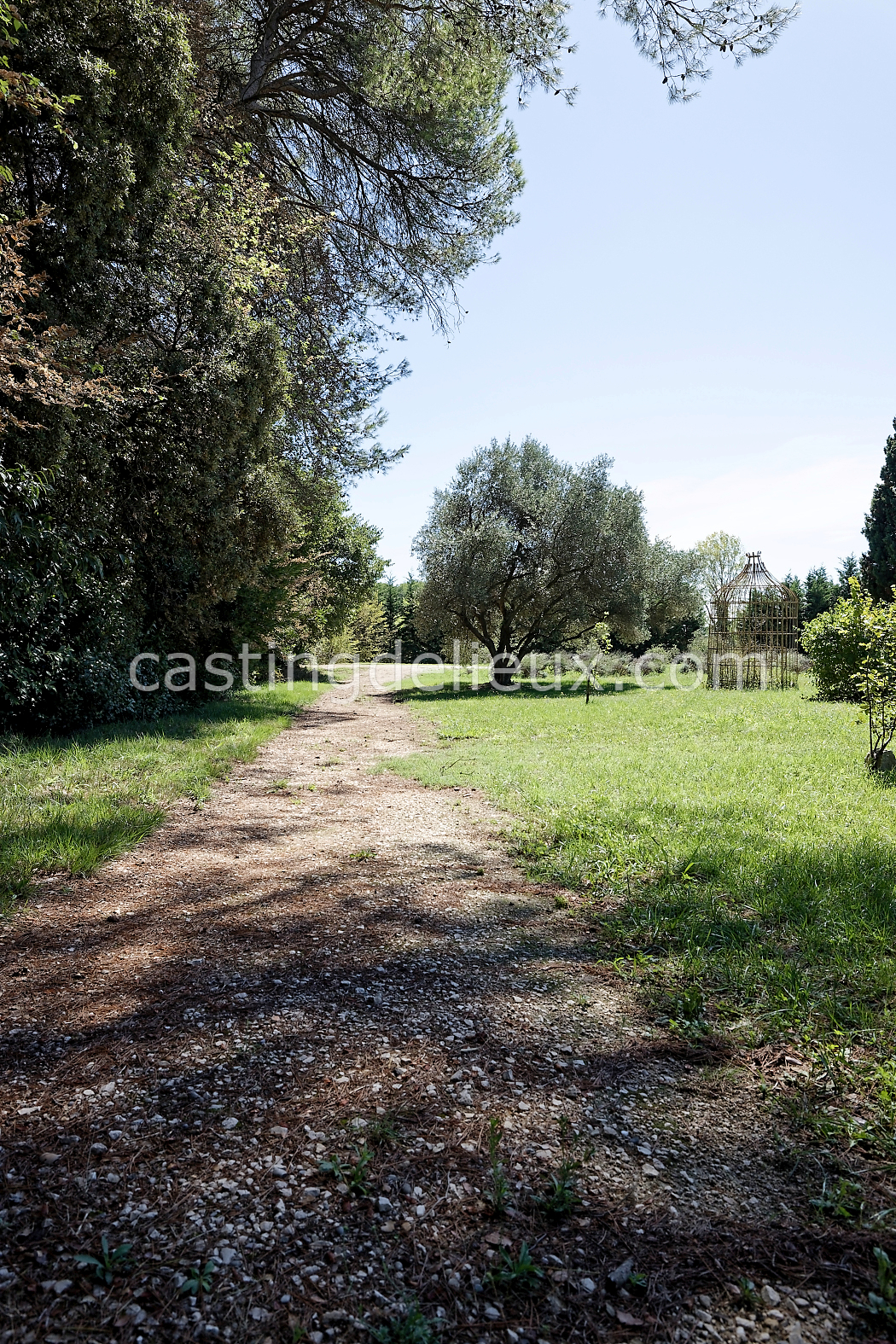 castingdelieux170-FR085-W