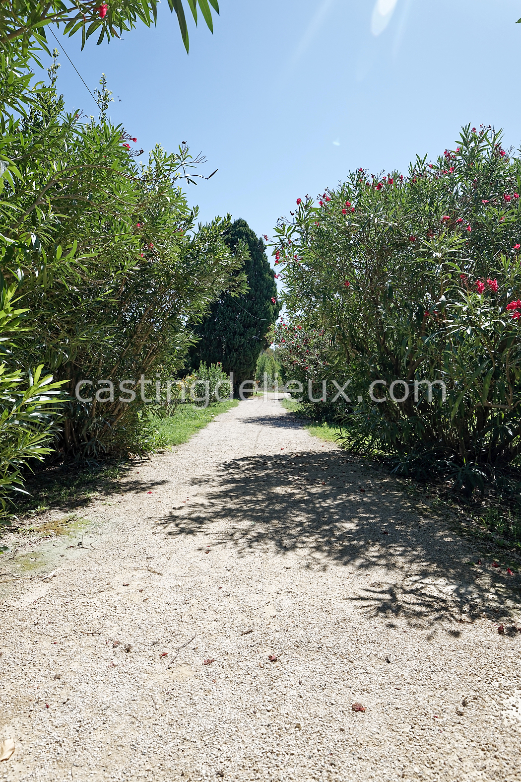 castingdelieux171-FR085-W