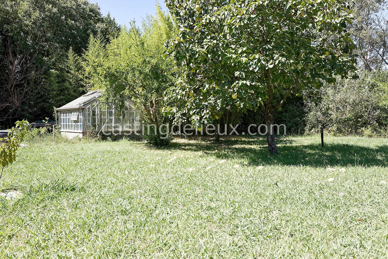 castingdelieux172-FR085-W