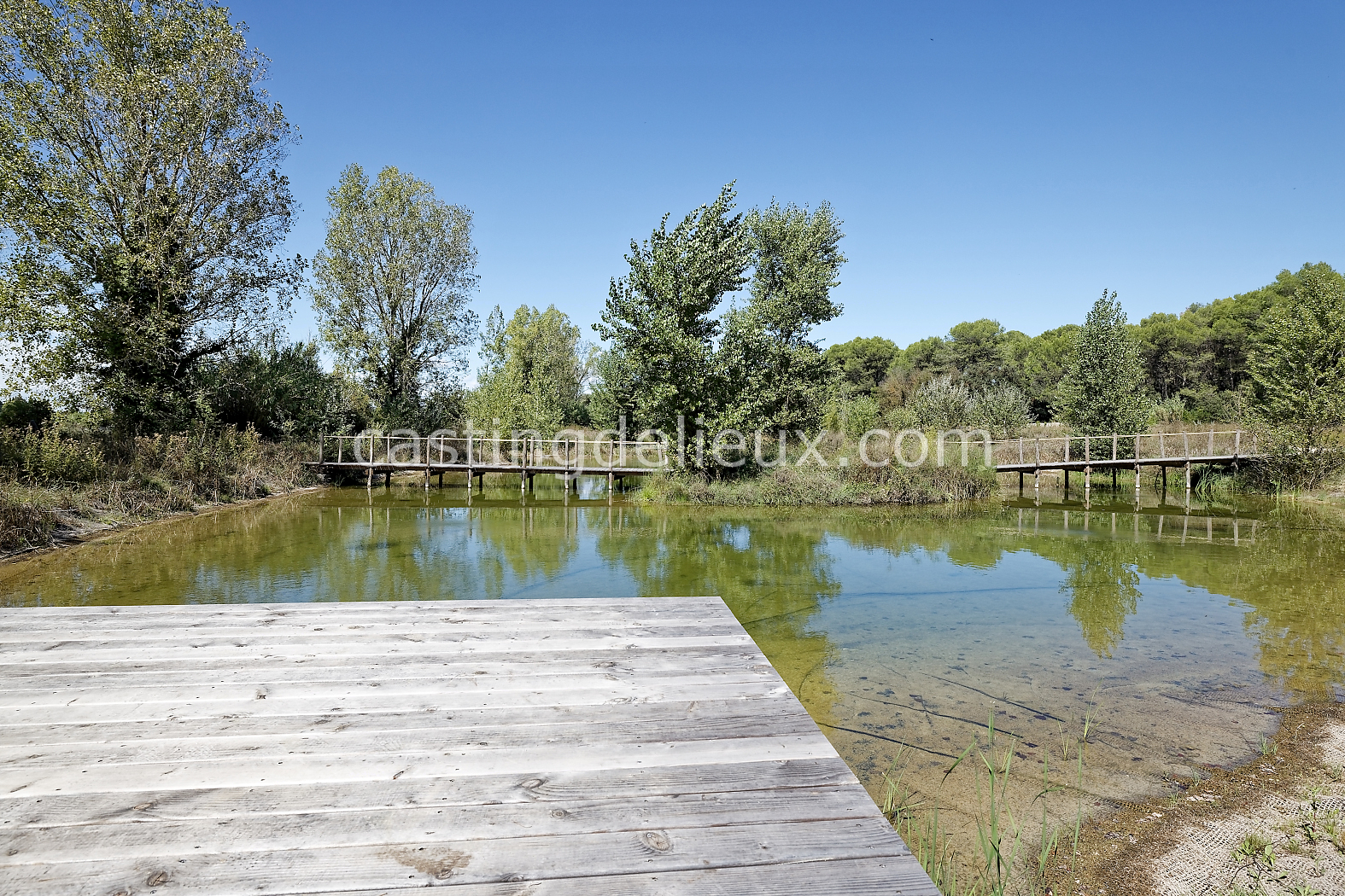 castingdelieux175-FR085-W