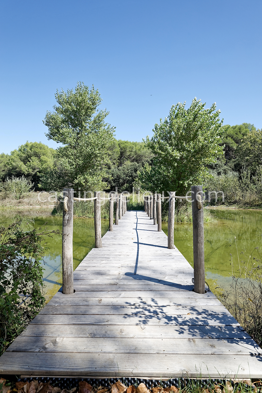 castingdelieux177-FR085-W