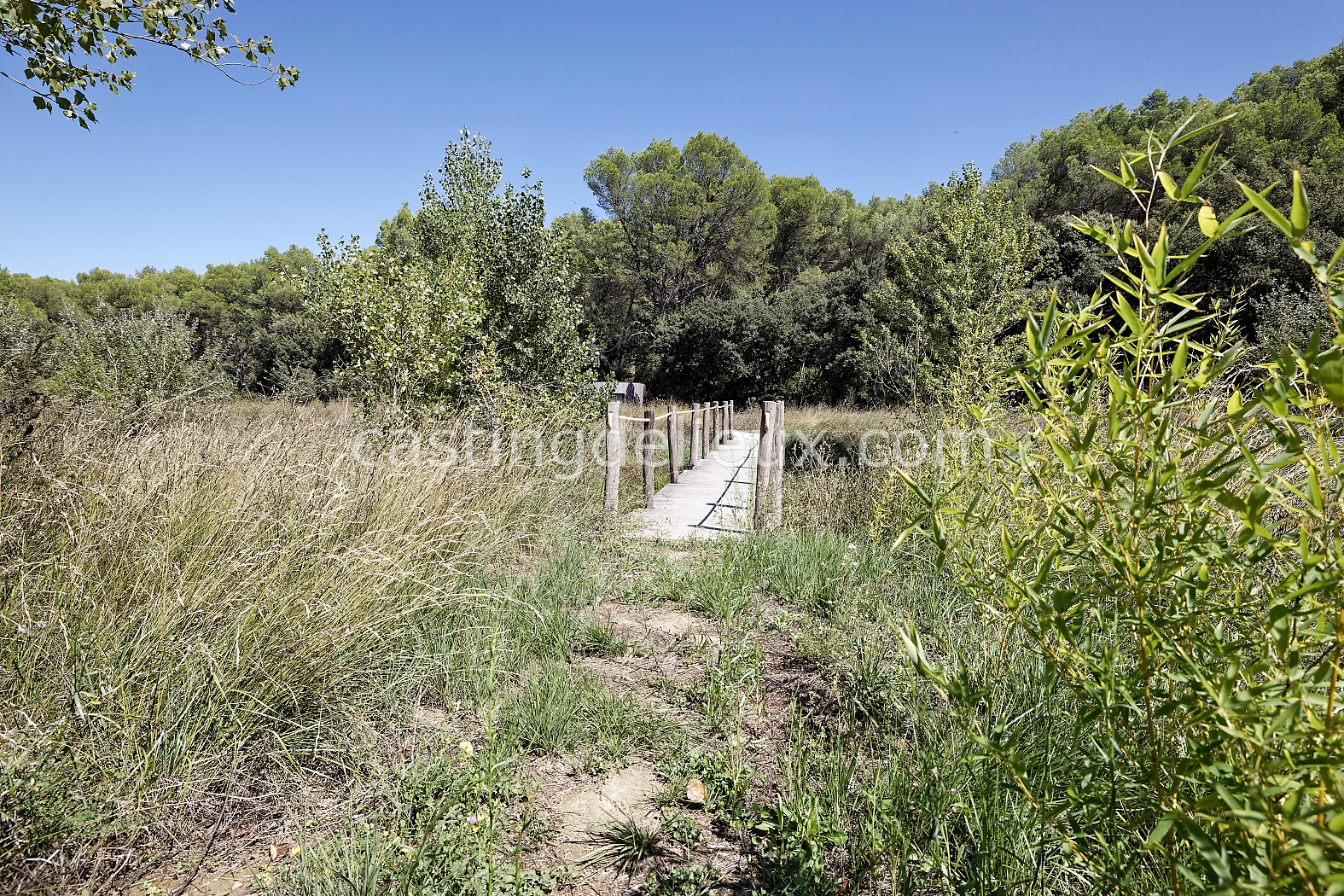 castingdelieux178-FR085-W