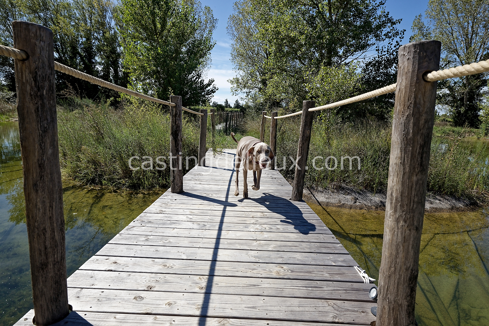 castingdelieux179-FR085-W