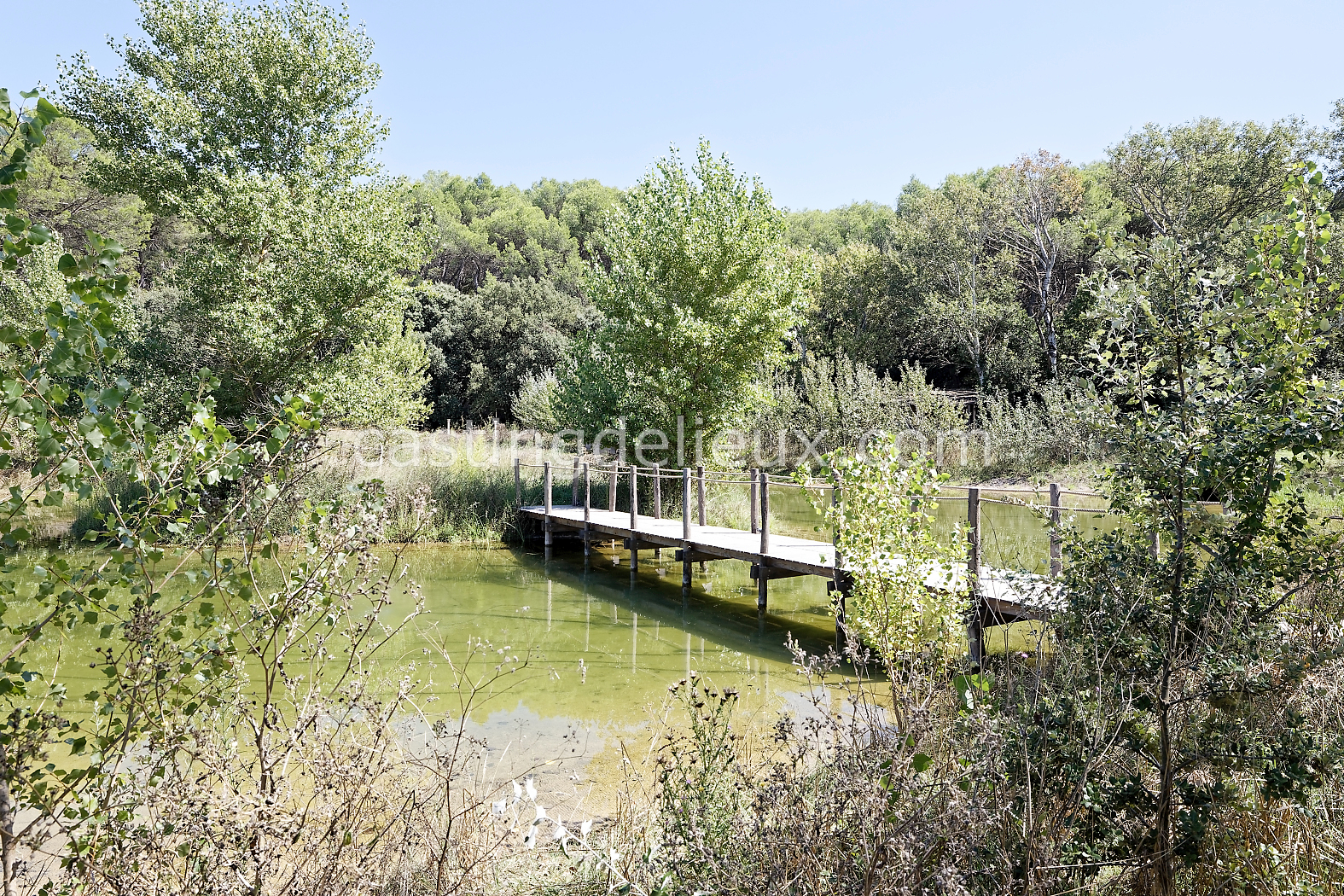 castingdelieux180-FR085-W