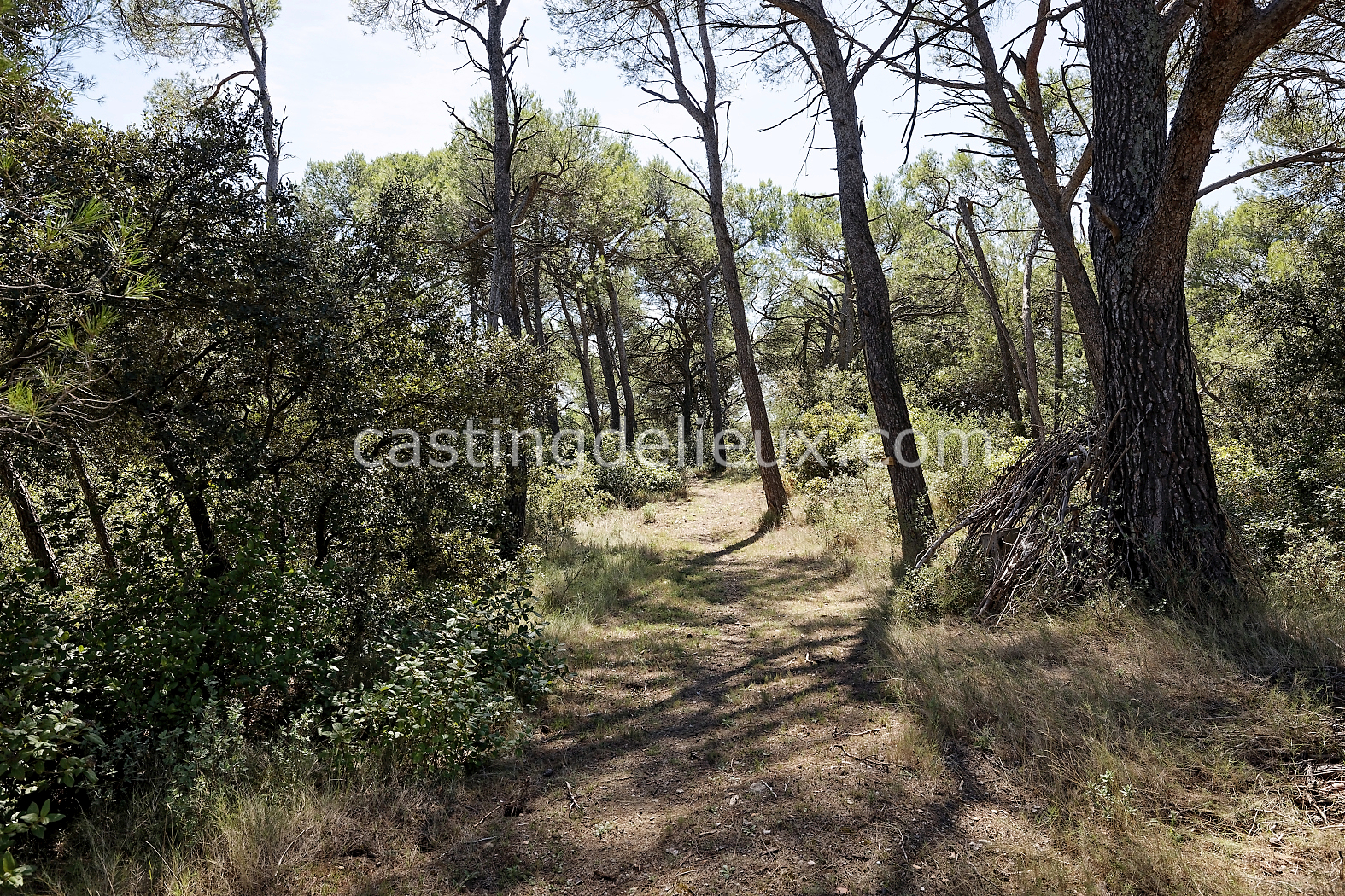 castingdelieux181-FR085-W