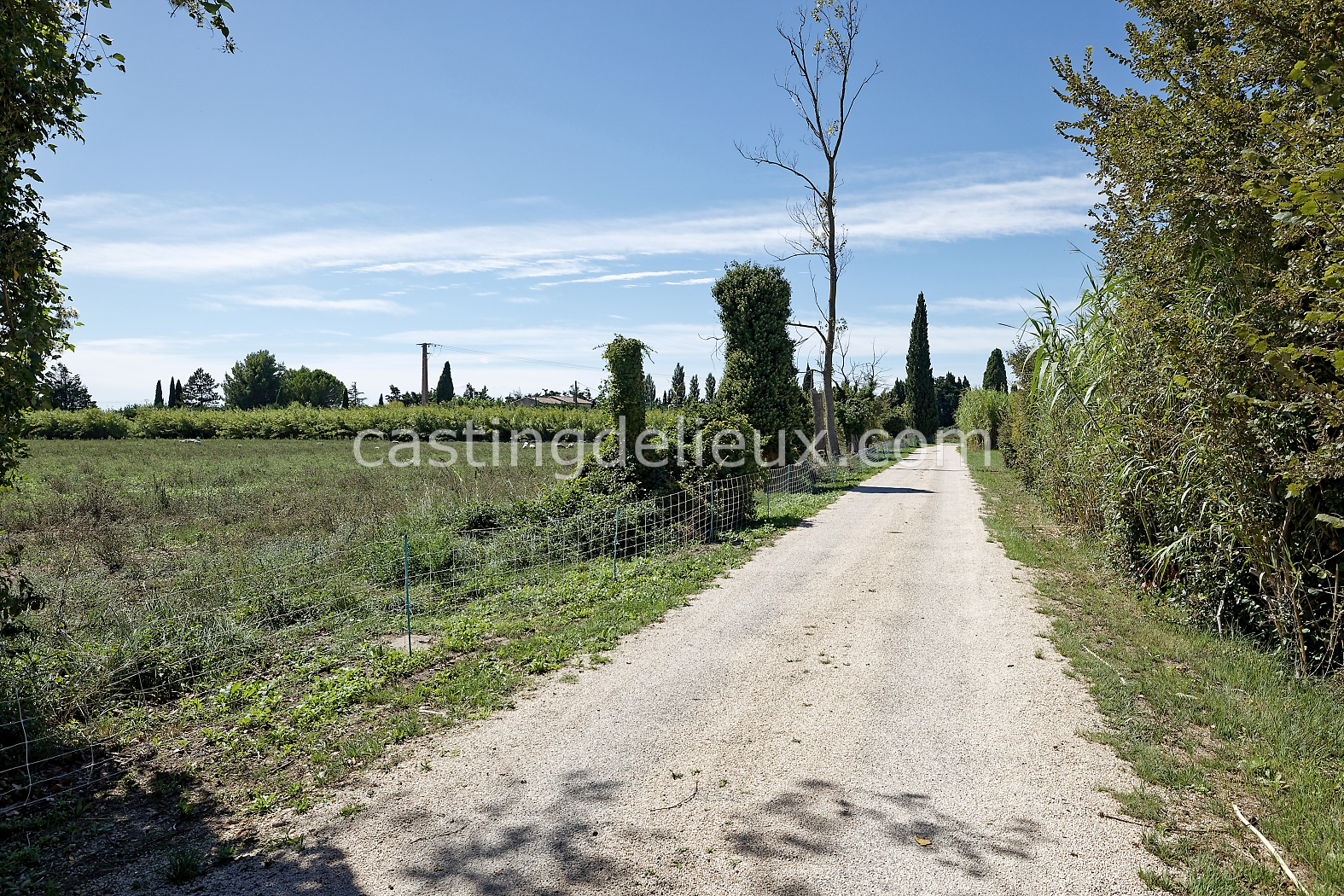 castingdelieux182-FR085-W