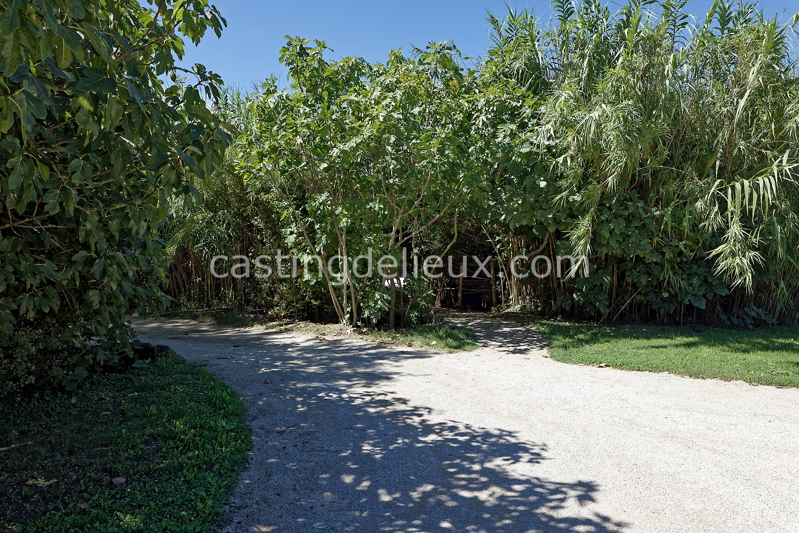 castingdelieux183-FR085-W