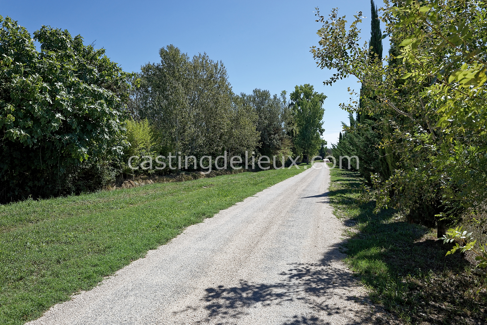castingdelieux184-FR085-W