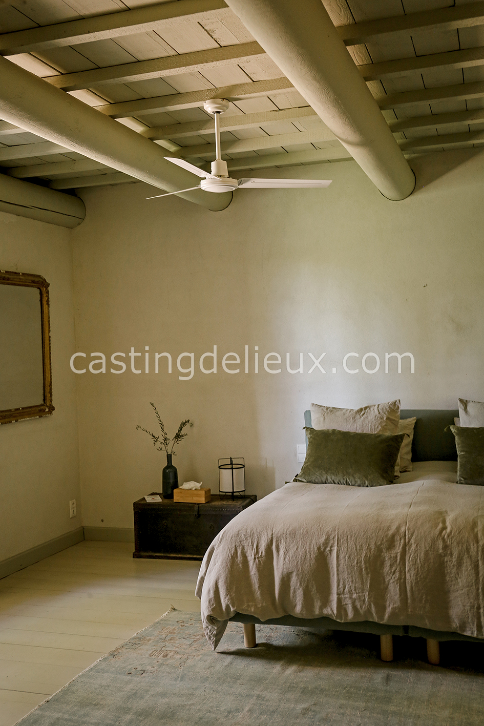 castingdelieux48-FR085-W