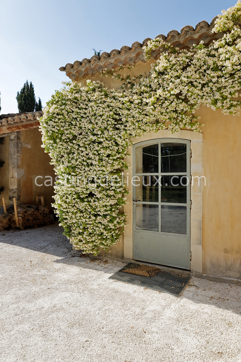 castingdelieux97-FR085-W