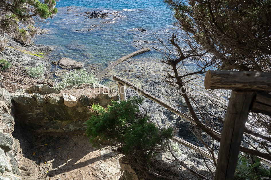 castingdelieux114IT005