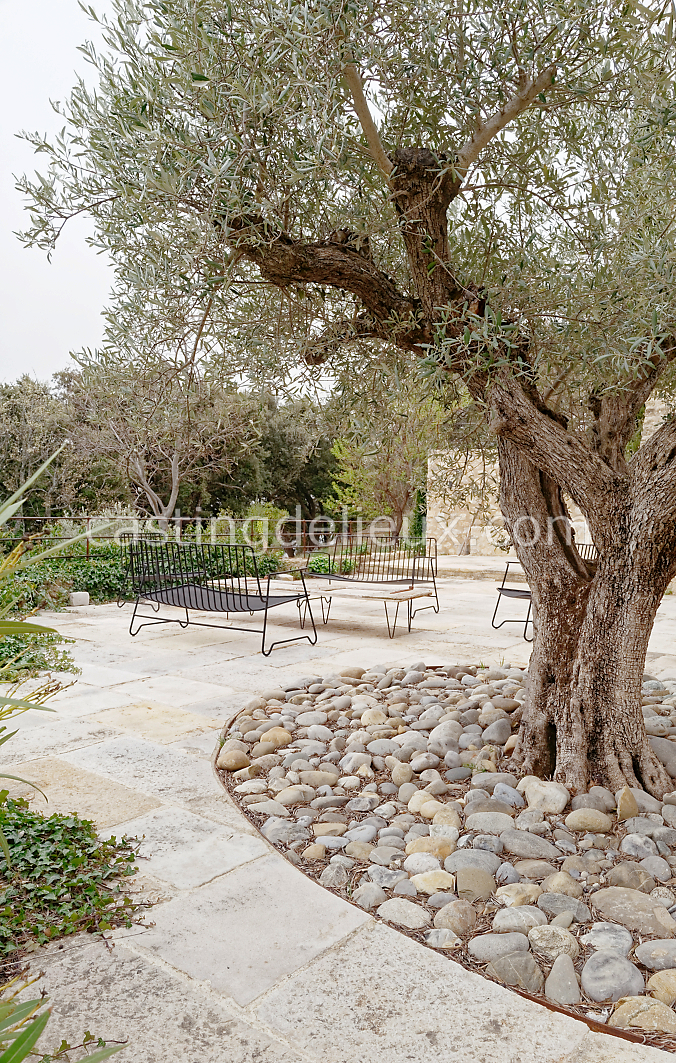 castingdelieux158-FR111-W