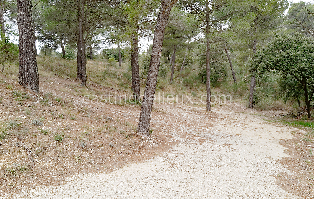 castingdelieux182-FR111-W