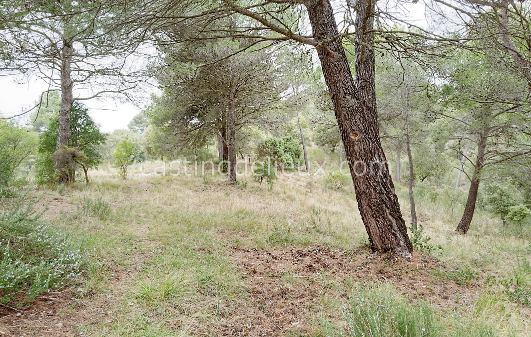 castingdelieux183-FR111-W