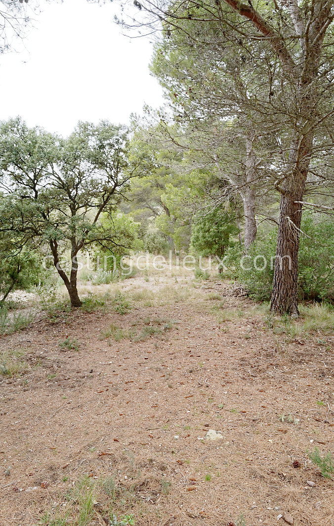 castingdelieux184-FR111-W