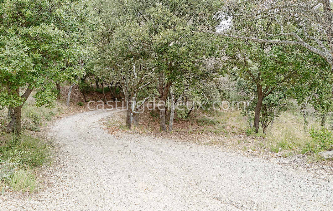 castingdelieux186-FR111-W