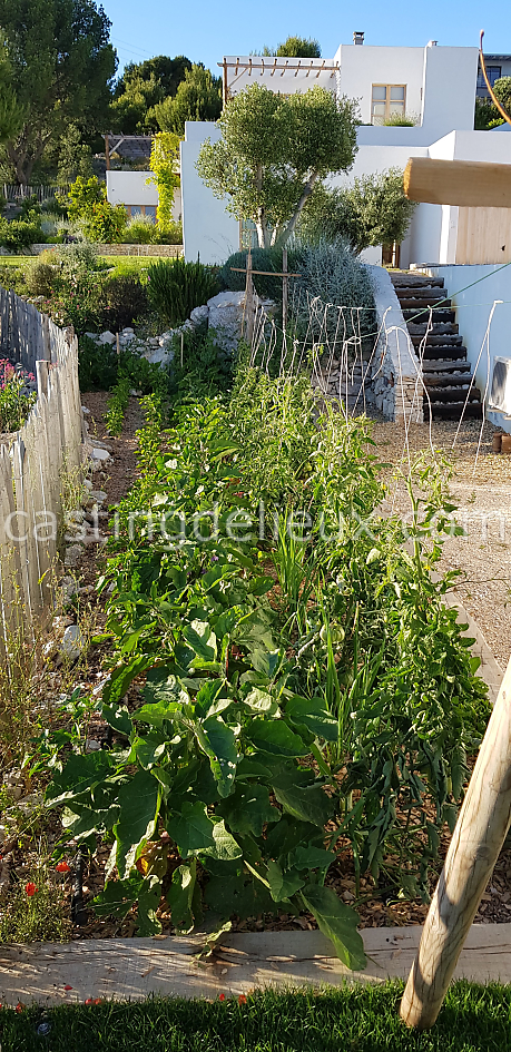 castingdelieux58FR099