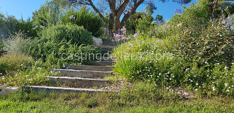 castingdelieux59FR099