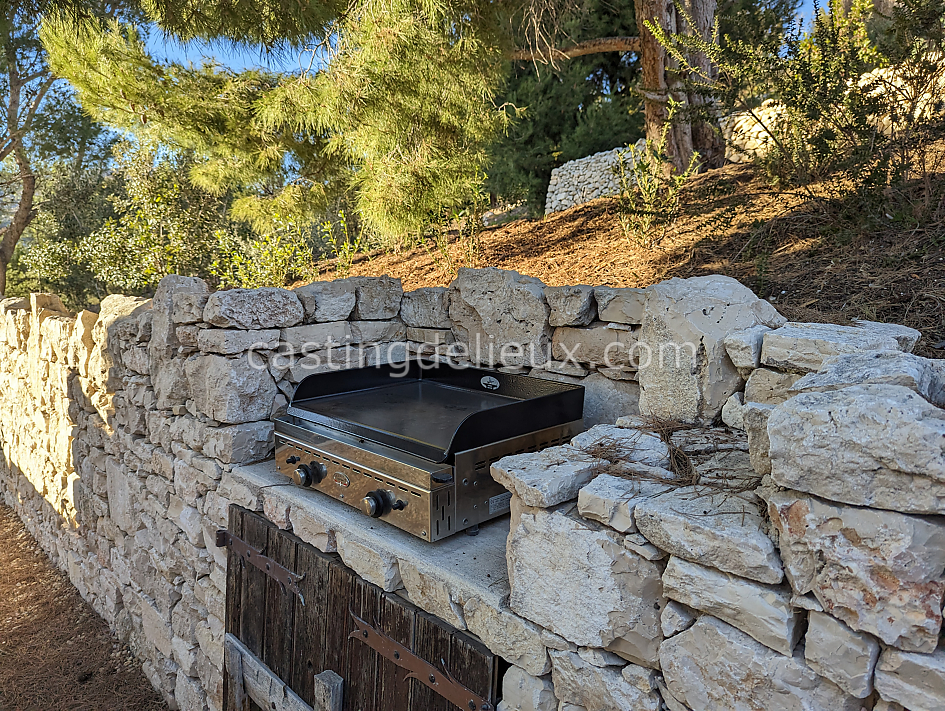 castingdelieux65FR099