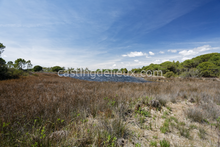 castingdelieux1-FR131-W