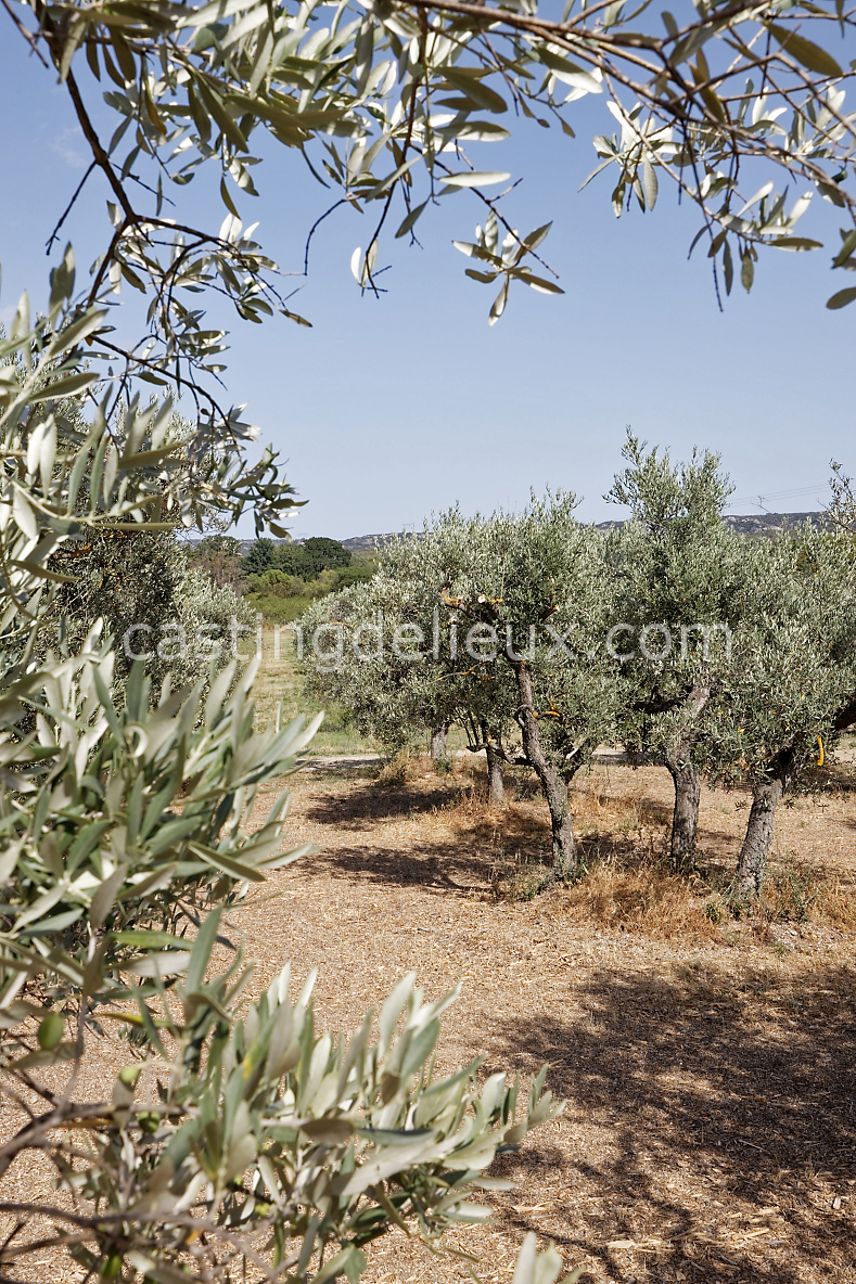 castingdelieux100-FR123-W