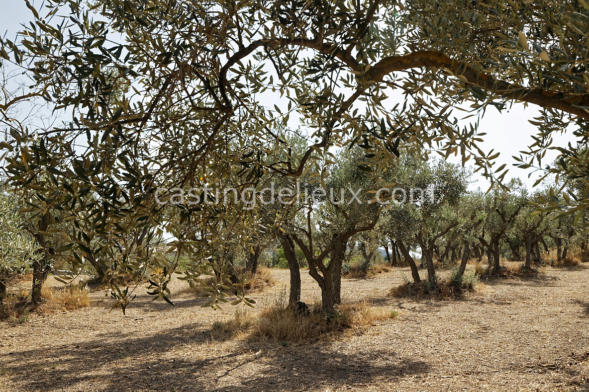 castingdelieux101-FR123-W