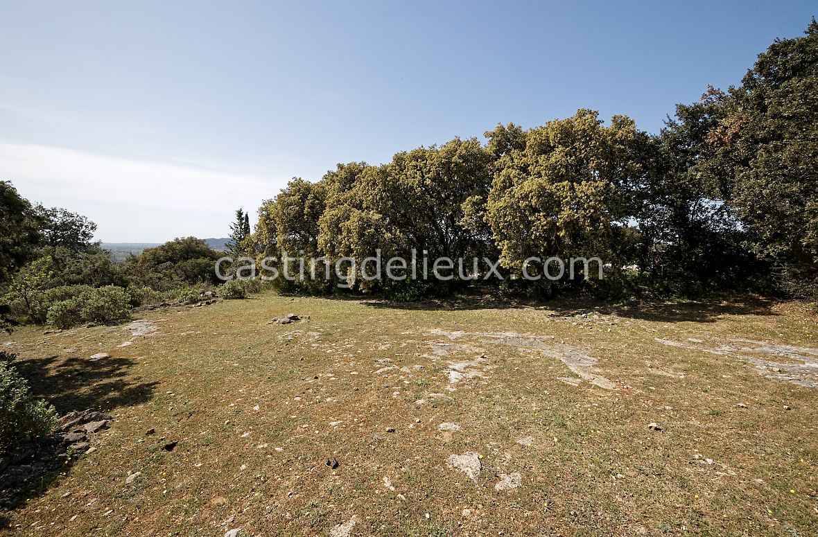 castingdelieux106-FR113-W