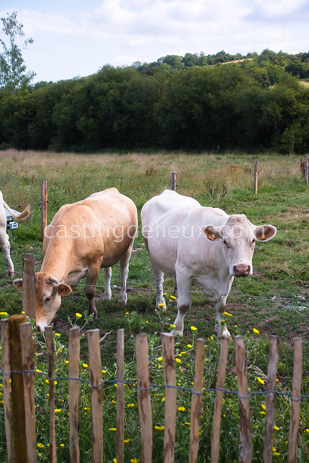 castingdelieux110FR133