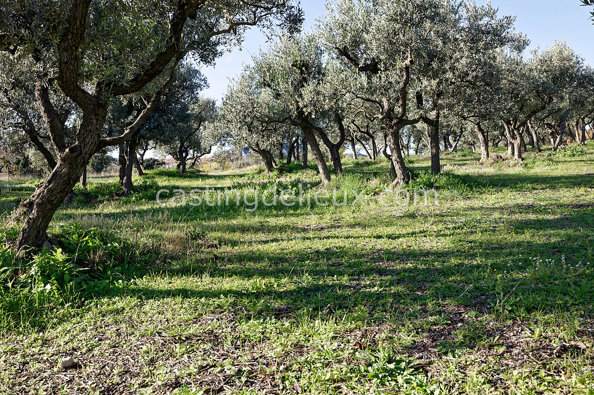 castingdelieux116-FR123-W