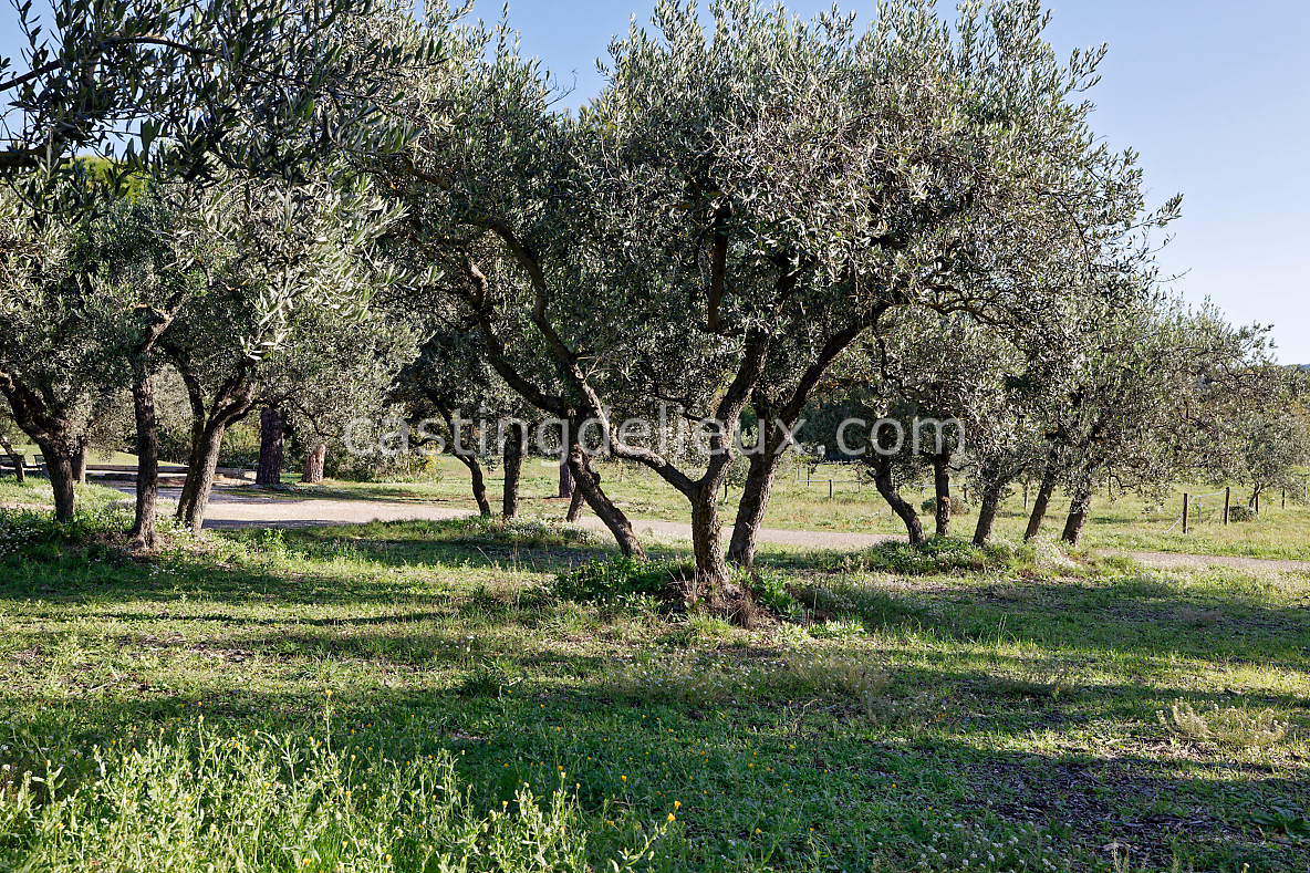 castingdelieux117-FR123-W